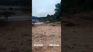 un rinc&oacute;n de camiri en Bolivia
