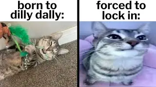Мемы о СДВГ