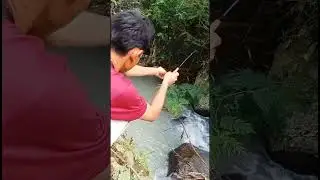 Akhirnya lending juga‼️mantap #mancingliar #mancingbenter #mancing