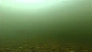 Hammond River Underwater
