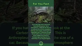 The Carpet of Legs (Arthropleura)  #animals #wildlife #facts #nature #science