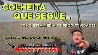 UMA DAS MELHORES PLATAFORMAS DO MERCADO - COLHEITA DE MILHO - GERINGHOFF EP-123