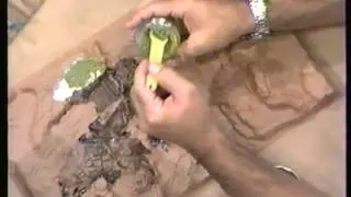 Plastic Model Displaying