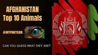 AFGHANISTAN TOP 10 ANIMALS! @mypinkyskin
