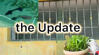 Mini Zoo Update | What is changing and what’s New pet we got ? #petsvlog 
