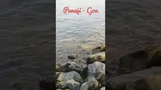 Fishing in Panaji Goa #mr_saikalgar #fishing #goa #panaji #Fish #trending #new #iffi_goa #2021