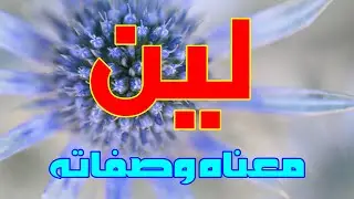 معنى اسم لين وصفات من تحمل هذا الاسم !!