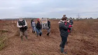 Whooping crane released at Goose Pond FWA