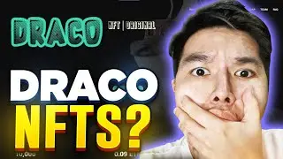 DRACO NFTS AMAZING NFT PROJECT DOXXED