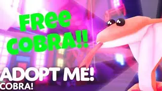 How To GET A FREE COBRA PET In Adopt Me?! (Roblox)