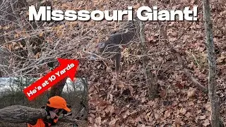 Chasing Missouri Public Land Bucks - Deer Season Episode 7