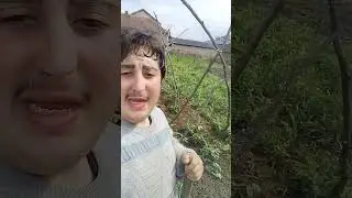 boranija ide, napreduje