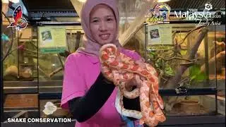 Melaka Butterfly and Reptile Sanctuary #ButterflyReptile 2025