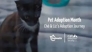 Pet Adoption Month - Che & Liz's Adoption Journey