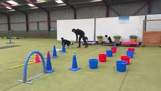 Movement puzzels.Een kleurrijke opstelling met een tussendoor, onderdoor, overheen en de geluidsbox.