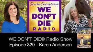 329  Karen Anderson - The Amazing Afterlife of Animals (from Police Officer to Animal Communicator)
