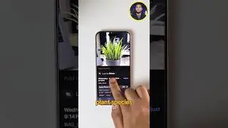 AI in iPhone Photos App! #iphone #appleintelligence #ai #iphoneai #tech #hassangovani