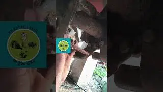మన ట్రాక్టర్ రోటవేటర్ కి నెట్టు బోల్ట్ ఊడిపోవడం జరిగింది ఈ రోజు వేయబోతున్న | #tractorvlogs #agri
