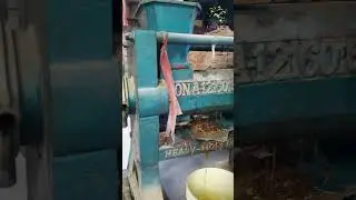 28patti oilexpeller -sona oil expeller #28pattioilexpeller #28pattisonaoilexpeller #pattioilexpeller