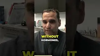 What is the connection between hormones and mental health genetics?