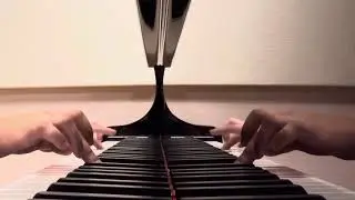 fallen down (reprise) - toby fox BUT on a real, INTUNE piano