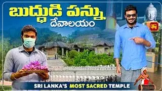 Buddha Tooth Temple Kandy | Elephant Orphanage | Sri Lanka Vlogs | Ravi Telugu Traveller
