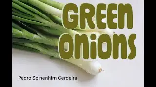Green Onions Improvisación (solo de órgano) y acompañamiento / Pedro Spinenhirn Cerdeira