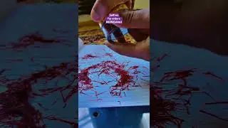 The Saffron Revolution: Redefining Taste Paradigms #kesarharvesters @KesarHarvesters #saffron