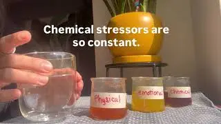 A visual for nervous system capacity and why you should &ldquo;empty your cup&rdquo;