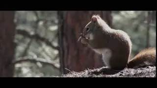 Il Parco delle Groane, la natura sulle porte di... Milano