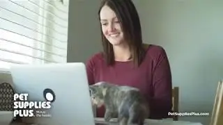 Save Time. Shop Online with Pet Supplies Plus