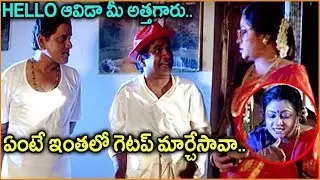 Brahmanandam & AVS Extraordinary Comedy Scene || Funny Comedy Scenes || Shalimarcinema