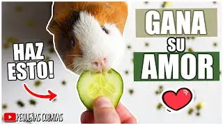Como HACER que mi CUYO ME QUIERA ❤