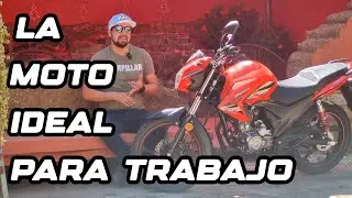 MOTO IDEAL PARA TRABAJO? La CR1 de motos Freedom