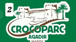 Des photos des élèves de l’établissement Le Petit Poussin lors de leur visite au parc des crocodiles
