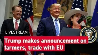 Trump makes announcement on trade with EU