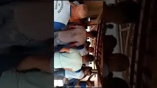 reisado do melado 2024