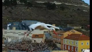 Peñafiel  ES - Er ist immer noch allein. ~ Még egyedül van