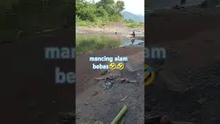 #mancingalamliar