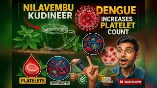 Nilavembu Kudineer |Natural Way to Increase Platelet Count