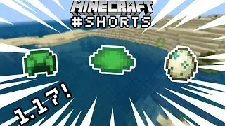 Как получить черепашьи щитки в Minecraft 1.19 #шорты