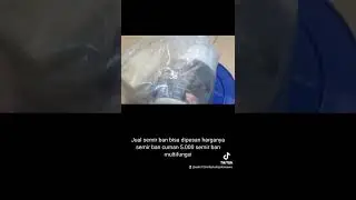 jual semir ban bisa dipesan Fahmi juga jual minyak wangi buat helm bisa dipesan