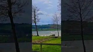 Wind gusts 100 km h Sempachersee #switzerland #youtubeshorts #nature #swissnature