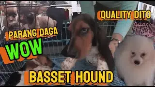 KAGANAPAN SA PATEROS PET MARKET PUNTA NA