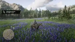 RDR 2: Getting a perfect Cedar Waxwing for Wildlife Art Exhibition V [Spoilers]