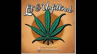 Cannabis in Pop Culture: From Counterculture to Mainstream