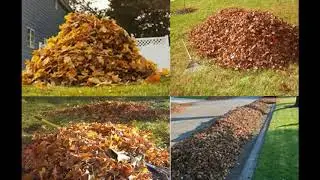 How to Rake, Blow & Bag Leaves Fast and Easy