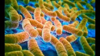 Foodborne disease awareness