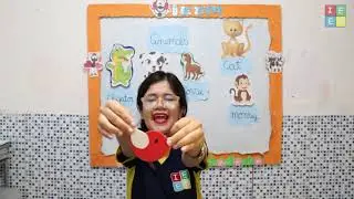 PRÉ ESCOLAR 4 ANOS INGLÊS ANIMALS AULA PRA 24112021