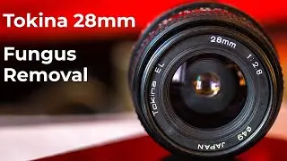 Tokina 28mm fungus removal : Lens repair
